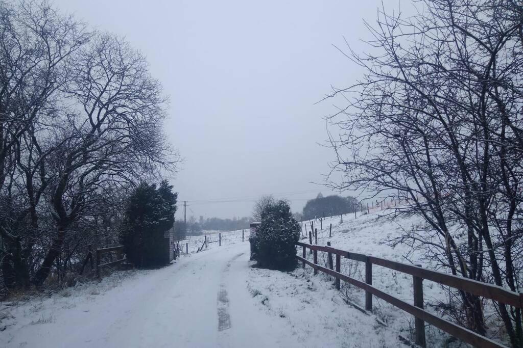 The Cottage - Hot Tub - Nr Glasgow - Self Check-In Coatbridge Exteriér fotografie